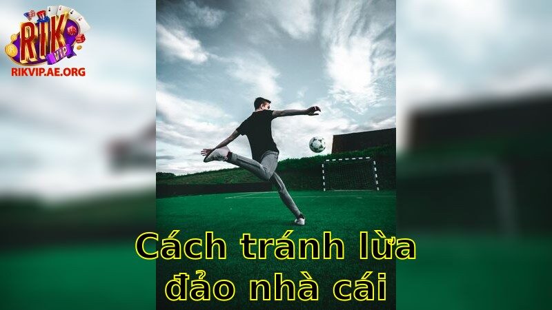 Cách Tránh Lừa Đảo Nhà Cái – Bảo Vệ Tài Khoản Cá Nhân 2025