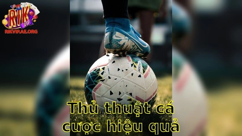 Thủ Thuật Cá Cược Hiệu Quả – Gia Tăng Cơ Hội Thắng 2025