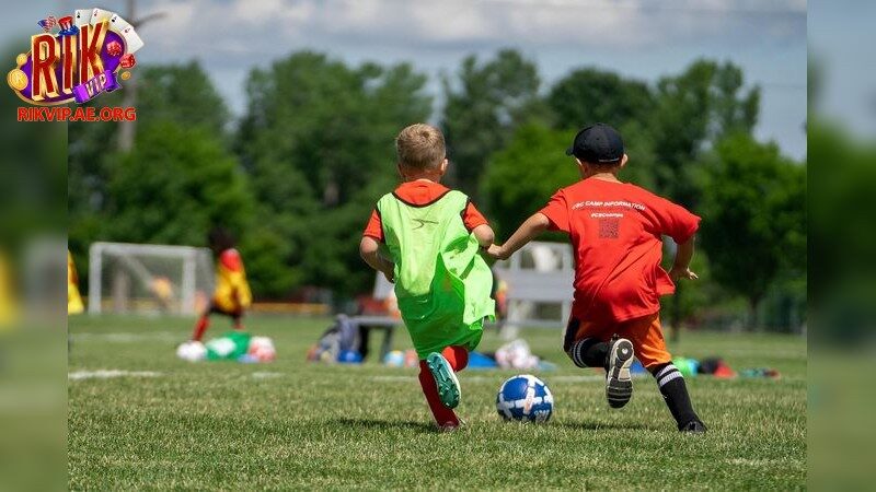 Tổng Quan Về Nền Tảng Cá Cược Thể Thao Hiện Đại